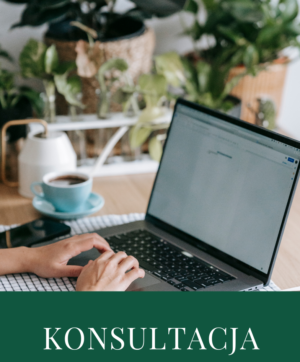 Konsultacja indywidualna godzinna